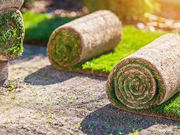 Gutter Cleaning